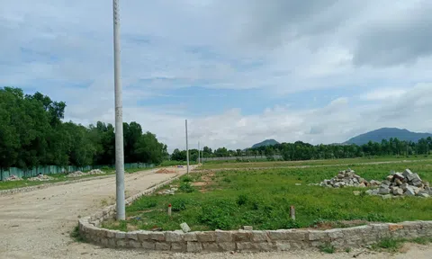 Phước Hòa (Phú Mỹ, Bà Rịa - Vũng Tàu): Cẩn trọng với dự án “ma” trên đất nông nghiệp